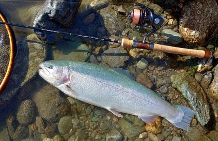 やられた ～天竜川ルアーフライテンカラ専用区～